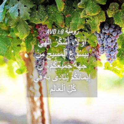 Picture 04 - رُومِيَةَ 1:8 AVD - أَوَّلًا، أَشْكُرُ - Bible Verse Picture
