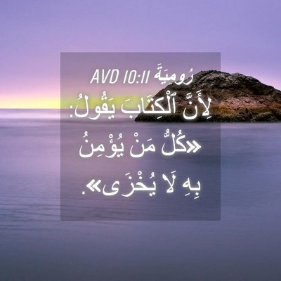 Picture 04 - رُومِيَةَ 10:11 AVD - لِأَنَّ ٱلْكِتَابَ - Bible Verse Picture