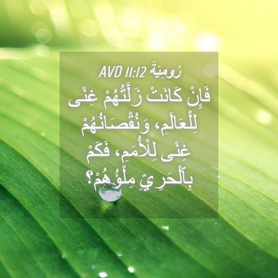 Picture 04 - رُومِيَةَ 11:12 AVD - فَإِنْ كَانَتْ - Bible Verse Picture