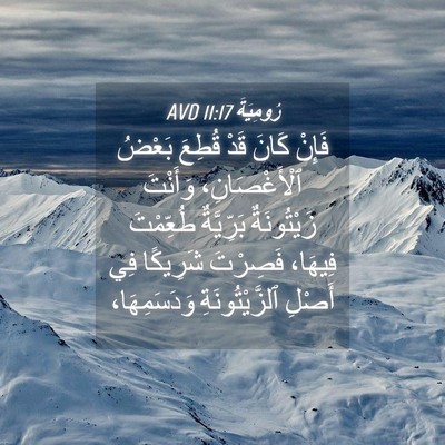 Picture 04 - رُومِيَةَ 11:17 AVD - فَإِنْ كَانَ قَدْ قُطِعَ - Bible Verse Picture