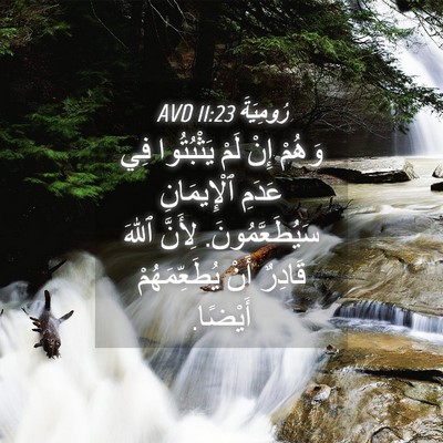Picture 04 - رُومِيَةَ 11:23 AVD - وَهُمْ إِنْ لَمْ - Bible Verse Picture