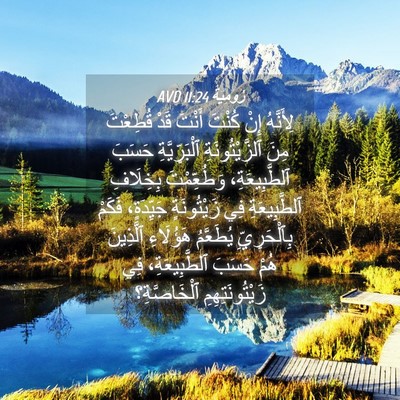Picture 04 - رُومِيَةَ 11:24 AVD - لِأَنَّهُ إِنْ كُنْتَ - Bible Verse Picture