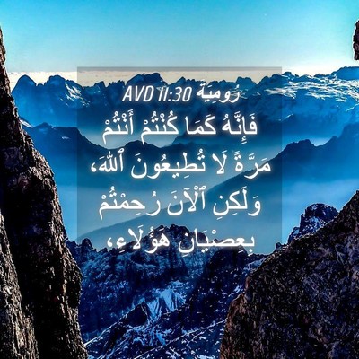 Picture 04 - رُومِيَةَ 11:30 AVD - فَإِنَّهُ كَمَا كُنْتُمْ - Bible Verse Picture