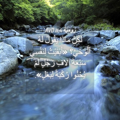 Picture 04 - رُومِيَةَ 11:4 AVD - لَكِنْ مَاذَا يَقُولُ لَهُ - Bible Verse Picture