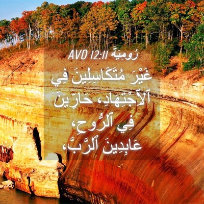 Picture 04 - رُومِيَةَ 12:11 AVD - غَيْرَ مُتَكَاسِلِينَ فِي - Bible Verse Picture