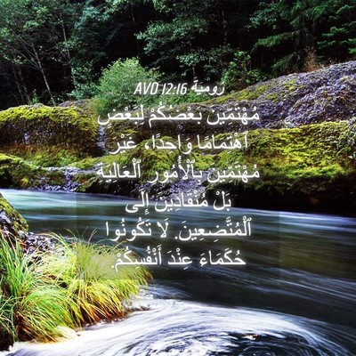 Picture 04 - رُومِيَةَ 12:16 AVD - مُهْتَمِّينَ بَعْضُكُمْ - Bible Verse Picture