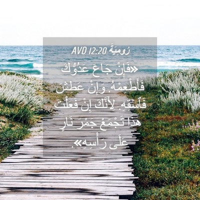 Picture 04 - رُومِيَةَ 12:20 AVD - «فَإِنْ جَاعَ عَدُوُّكَ - Bible Verse Picture