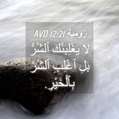 Picture 04 - رُومِيَةَ 12:21 AVD - لَا يَغْلِبَنَّكَ - Bible Verse Picture