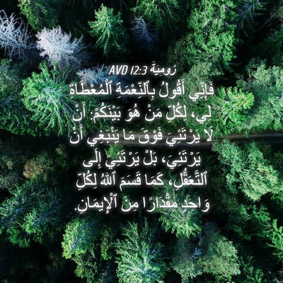 Picture 04 - رُومِيَةَ 12:3 AVD - فَإِنِّي أَقُولُ - Bible Verse Picture