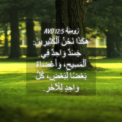 Picture 04 - رُومِيَةَ 12:5 AVD - هَكَذَا نَحْنُ - Bible Verse Picture