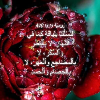 Picture 04 - رُومِيَةَ 13:13 AVD - لِنَسْلُكْ بِلِيَاقَةٍ - Bible Verse Picture