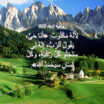 Picture 04 - رُومِيَةَ 14:11 AVD - لِأَنَّهُ مَكْتُوبٌ: - Bible Verse Picture