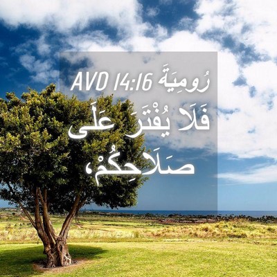 Picture 04 - رُومِيَةَ 14:16 AVD - فَلَا يُفْتَرَ عَلَى - Bible Verse Picture