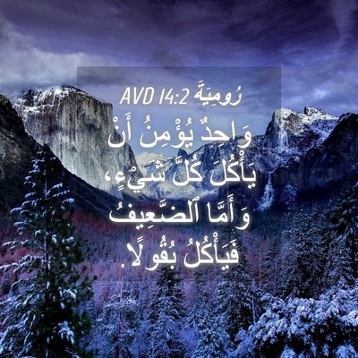 Picture 04 - رُومِيَةَ 14:2 AVD - وَاحِدٌ يُؤْمِنُ أَنْ - Bible Verse Picture