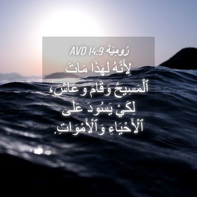Picture 04 - رُومِيَةَ 14:9 AVD - لِأَنَّهُ لِهَذَا مَاتَ - Bible Verse Picture