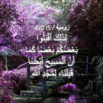 Picture 04 - رُومِيَةَ 15:7 AVD - لِذَلِكَ ٱقْبَلُوا - Bible Verse Picture