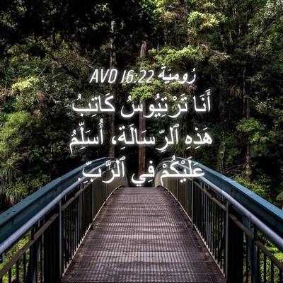 Picture 04 - رُومِيَةَ 16:22 AVD - أَنَا تَرْتِيُوسُ كَاتِبُ - Bible Verse Picture
