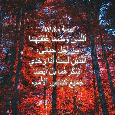 Picture 04 - رُومِيَةَ 16:4 AVD - ٱللَّذَيْنِ وَضَعَا - Bible Verse Picture