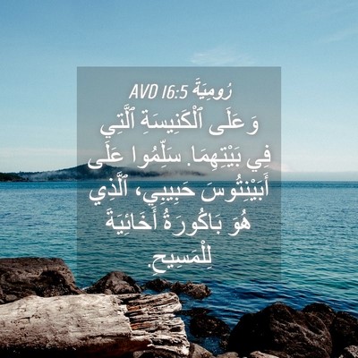 Picture 04 - رُومِيَةَ 16:5 AVD - وَعَلَى ٱلْكَنِيسَةِ - Bible Verse Picture