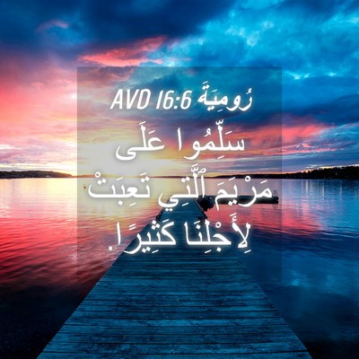Picture 04 - رُومِيَةَ 16:6 AVD - سَلِّمُوا عَلَى مَرْيَمَ - Bible Verse Picture