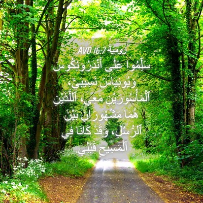 Picture 04 - رُومِيَةَ 16:7 AVD - سَلِّمُوا عَلَى - Bible Verse Picture