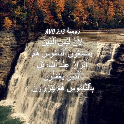 Picture 04 - رُومِيَةَ 2:13 AVD - لِأَنْ لَيْسَ ٱلَّذِينَ - Bible Verse Picture