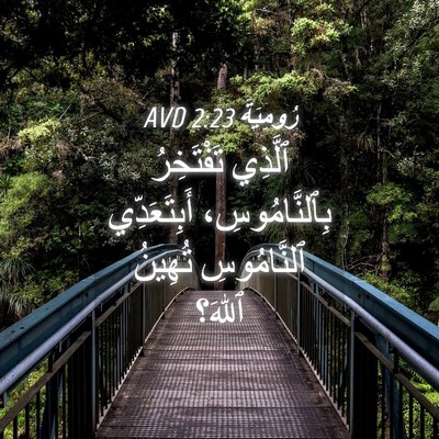 Picture 04 - رُومِيَةَ 2:23 AVD - ٱلَّذِي تَفْتَخِرُ - Bible Verse Picture