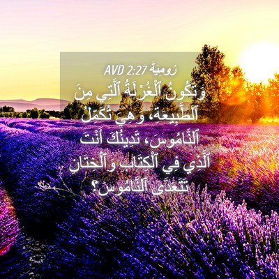 Picture 04 - رُومِيَةَ 2:27 AVD - وَتَكُونُ ٱلْغُرْلَةُ - Bible Verse Picture