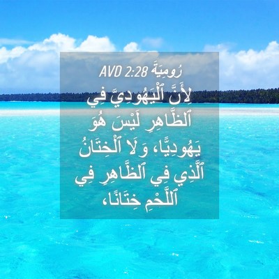 Picture 04 - رُومِيَةَ 2:28 AVD - لِأَنَّ ٱلْيَهُودِيَّ فِي - Bible Verse Picture