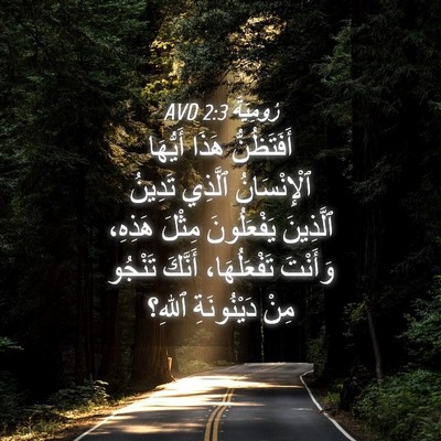 Picture 04 - رُومِيَةَ 2:3 AVD - أَفَتَظُنُّ هَذَا - Bible Verse Picture