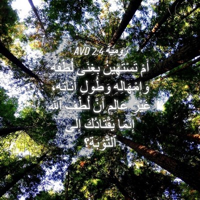 Picture 04 - رُومِيَةَ 2:4 AVD - أَمْ تَسْتَهِينُ بِغِنَى - Bible Verse Picture