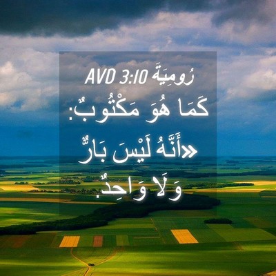 Picture 04 - رُومِيَةَ 3:10 AVD - كَمَا هُوَ مَكْتُوبٌ: - Bible Verse Picture