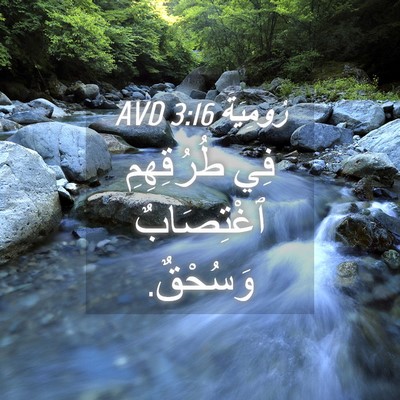 Picture 04 - رُومِيَةَ 3:16 AVD - فِي طُرُقِهِمِ ٱغْتِصَابٌ - Bible Verse Picture