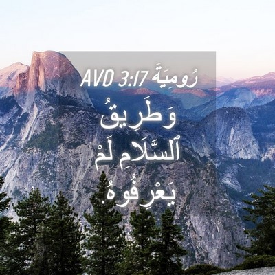 Picture 04 - رُومِيَةَ 3:17 AVD - وَطَرِيقُ ٱلسَّلَامِ لَمْ - Bible Verse Picture