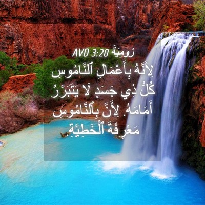 Picture 04 - رُومِيَةَ 3:20 AVD - لِأَنَّهُ بِأَعْمَالِ - Bible Verse Picture