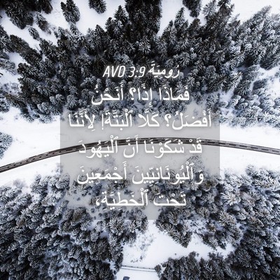Picture 04 - رُومِيَةَ 3:9 AVD - فَمَاذَا إِذًا؟ أَنَحْنُ - Bible Verse Picture