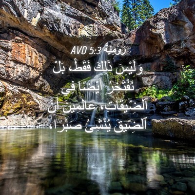 Picture 04 - رُومِيَةَ 5:3 AVD - وَلَيْسَ ذَلِكَ فَقَطْ، - Bible Verse Picture