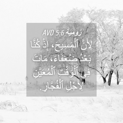 Picture 04 - رُومِيَةَ 5:6 AVD - لِأَنَّ ٱلْمَسِيحَ، إِذْ - Bible Verse Picture