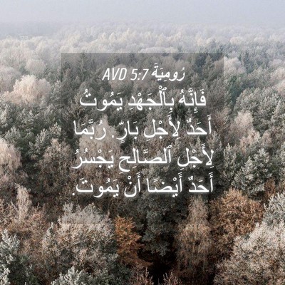 Picture 04 - رُومِيَةَ 5:7 AVD - فَإِنَّهُ بِٱلْجَهْدِ - Bible Verse Picture