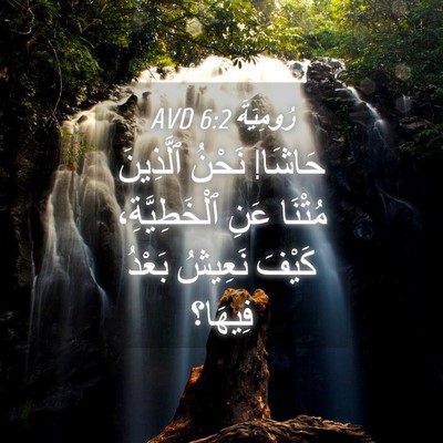 Picture 04 - رُومِيَةَ 6:2 AVD - حَاشَا! نَحْنُ ٱلَّذِينَ - Bible Verse Picture