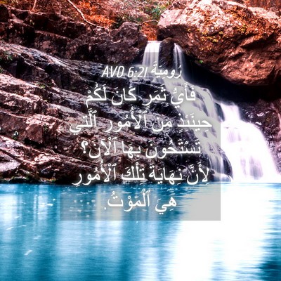 Picture 04 - رُومِيَةَ 6:21 AVD - فَأَيُّ ثَمَرٍ كَانَ - Bible Verse Picture