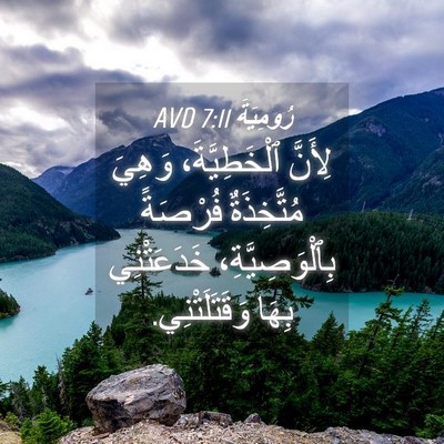 Picture 04 - رُومِيَةَ 7:11 AVD - لِأَنَّ ٱلْخَطِيَّةَ، - Bible Verse Picture