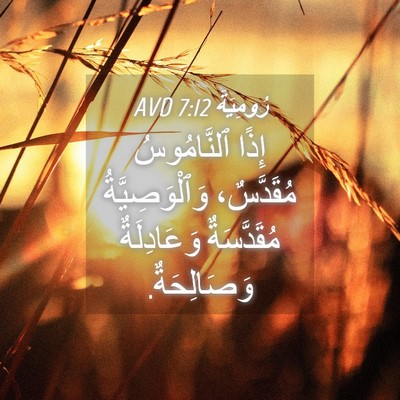 Picture 04 - رُومِيَةَ 7:12 AVD - إِذًا ٱلنَّامُوسُ - Bible Verse Picture