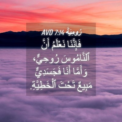 Picture 04 - رُومِيَةَ 7:14 AVD - فَإِنَّنَا نَعْلَمُ أَنَّ - Bible Verse Picture