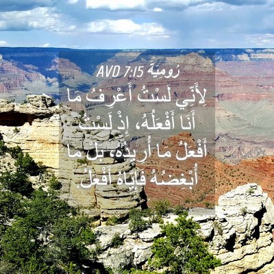 Picture 04 - رُومِيَةَ 7:15 AVD - لِأَنِّي لَسْتُ أَعْرِفُ - Bible Verse Picture