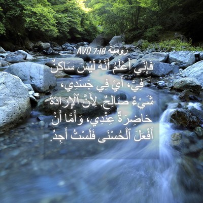 Picture 04 - رُومِيَةَ 7:18 AVD - فَإِنِّي أَعْلَمُ أَنَّهُ - Bible Verse Picture