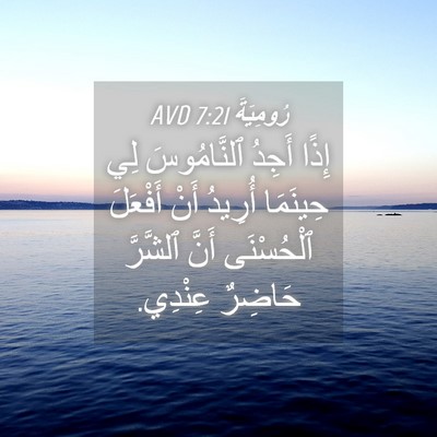 Picture 04 - رُومِيَةَ 7:21 AVD - إِذًا أَجِدُ ٱلنَّامُوسَ - Bible Verse Picture