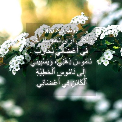 Picture 04 - رُومِيَةَ 7:23 AVD - وَلَكِنِّي أَرَى - Bible Verse Picture