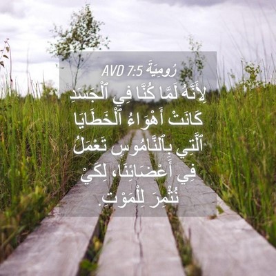 Picture 04 - رُومِيَةَ 7:5 AVD - لِأَنَّهُ لَمَّا كُنَّا - Bible Verse Picture
