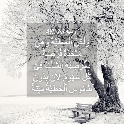 Picture 04 - رُومِيَةَ 7:8 AVD - وَلَكِنَّ ٱلْخَطِيَّةَ - Bible Verse Picture